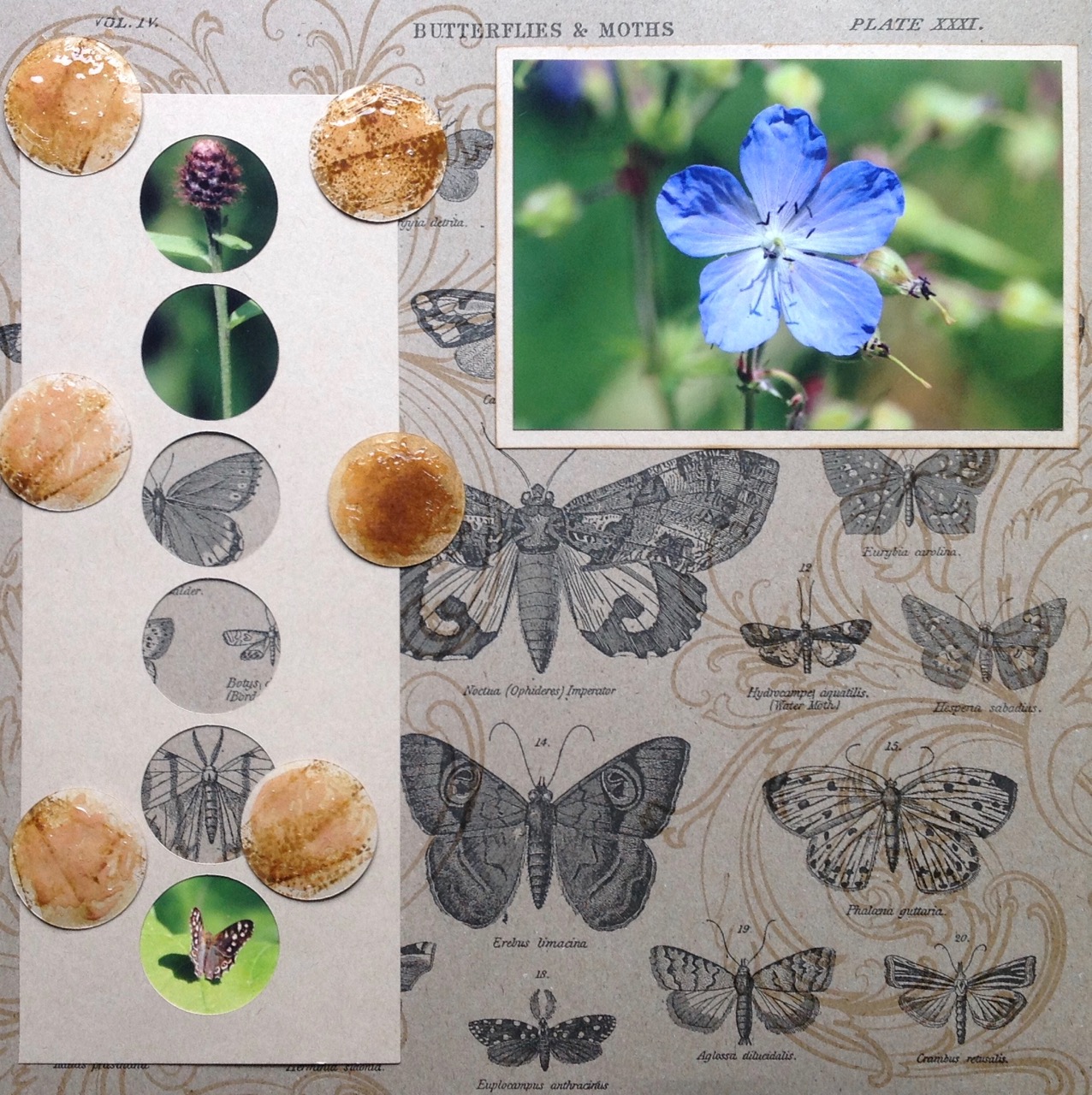 ShimelleWeekend - 1 (5)