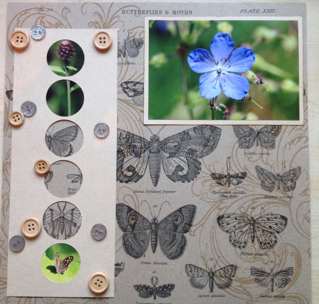 ShimelleWeekend - 1 (7)