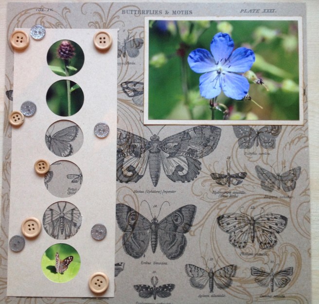 ShimelleWeekend - 1 (7)